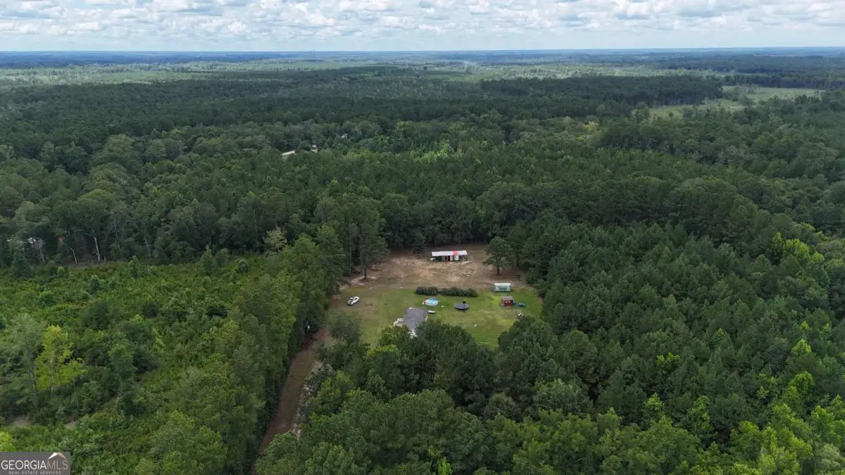 913 Berryville Road, Clyo, GA 31303 - #1