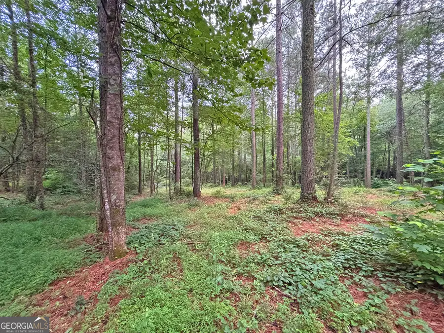 10AC Yonder Way, Talking Rock, GA 30175 - #2