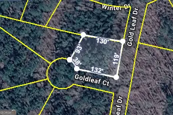 0 Gold Leaf Drive, Grantville, GA 30220 - #1