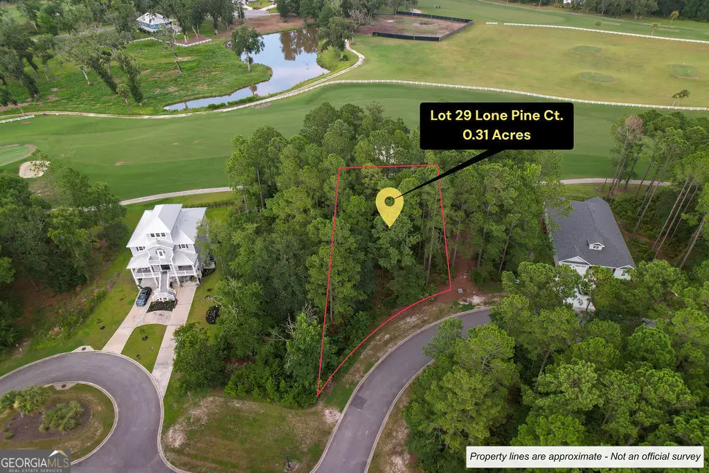 0 Lone Pine Court, Waverly, GA 31565 - #1