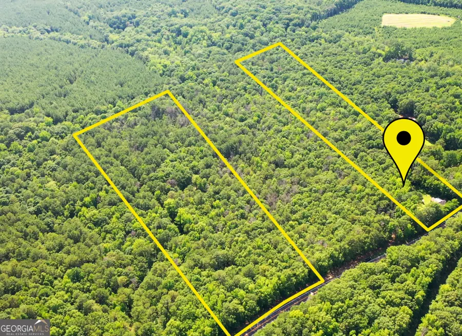 5657 Springfield Road, Sparta, GA 31087 - #2