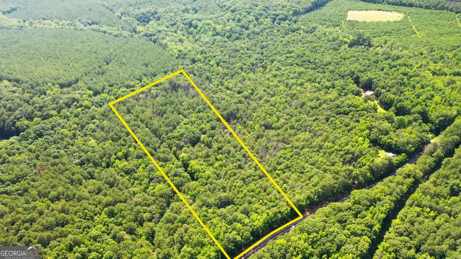 9.82 +/- ACRES Springfield Road, Sparta, GA 31087 - #3