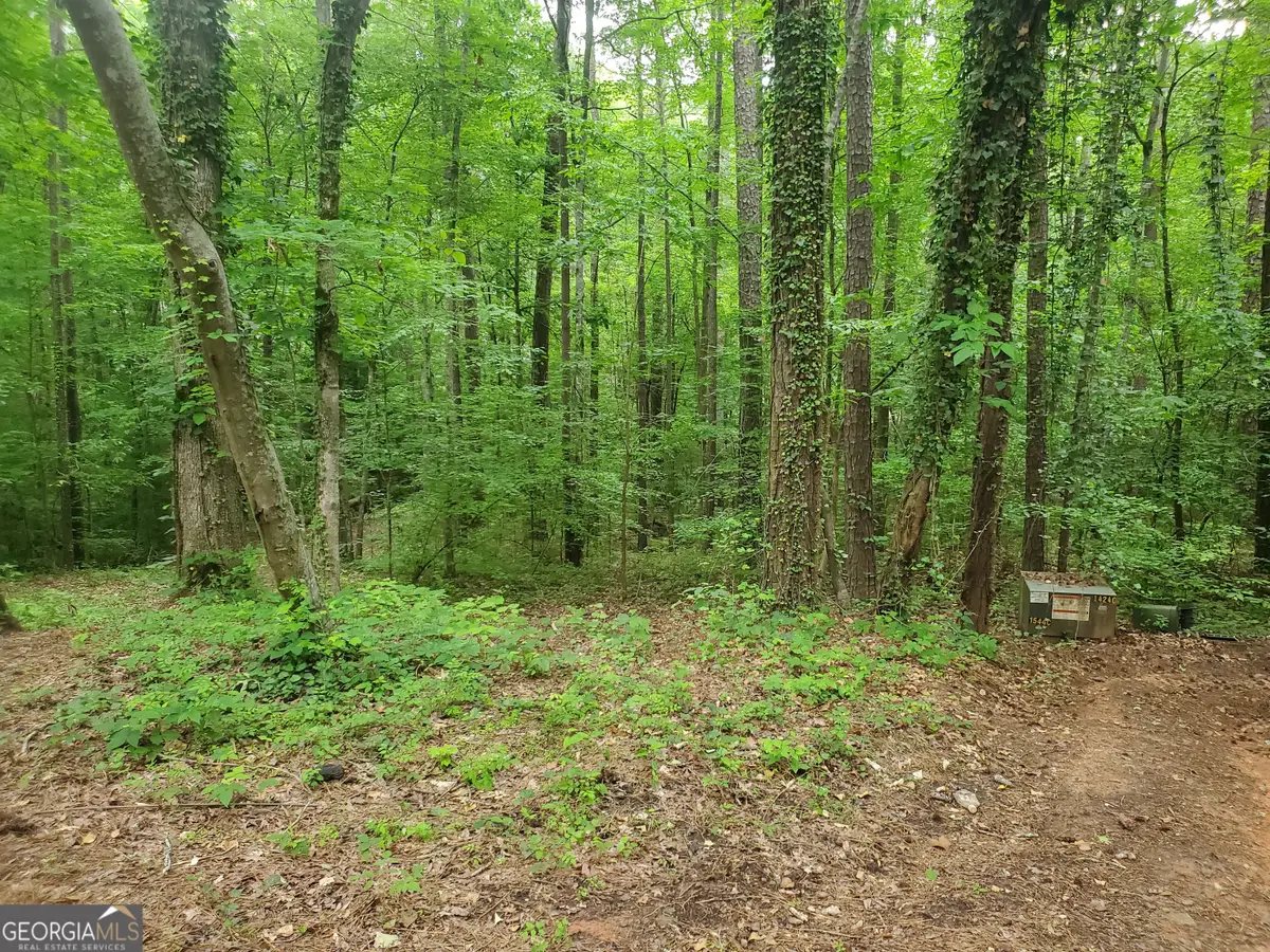 00 W Mourning Dove Court, Monticello, GA 31064 - #1