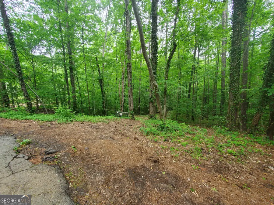 00 W Mourning Dove Court, Monticello, GA 31064 - #2