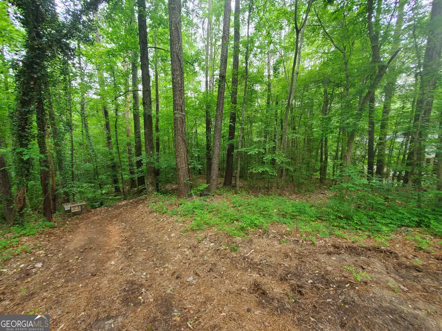 00 W Mourning Dove Court, Monticello, GA 31064 - #3
