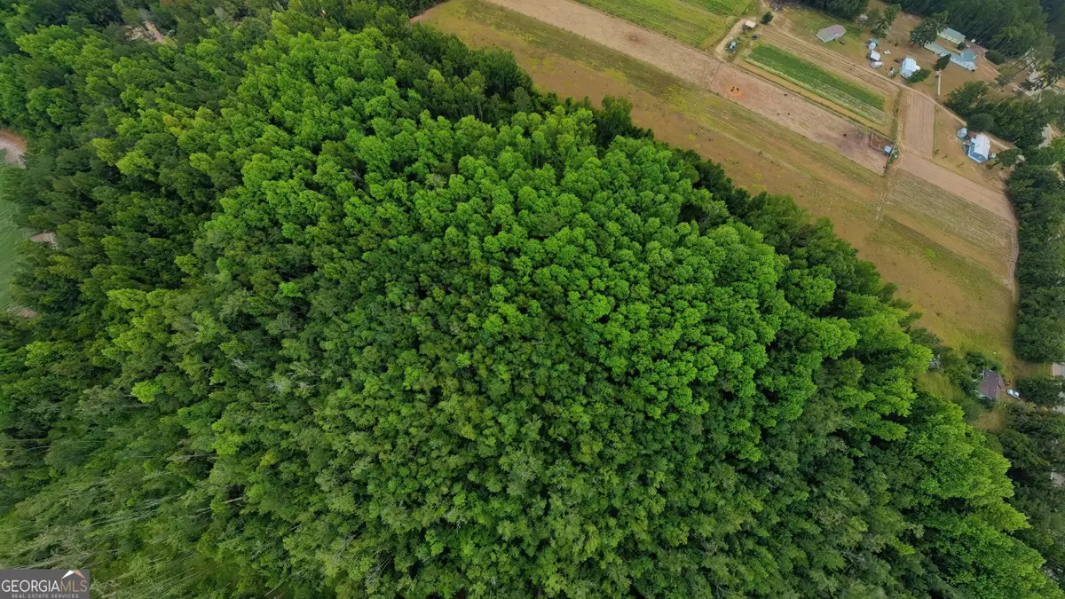 10600 Us Highway 80 E, Brooklet, GA 30415 - #1