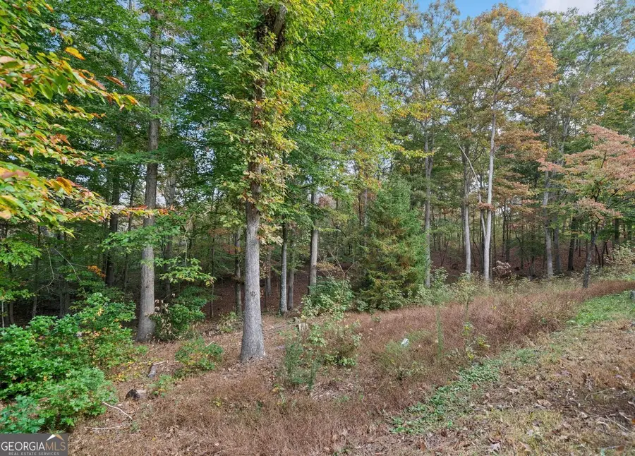 0 Ammons Drive, Waleska, GA 30183 - #3