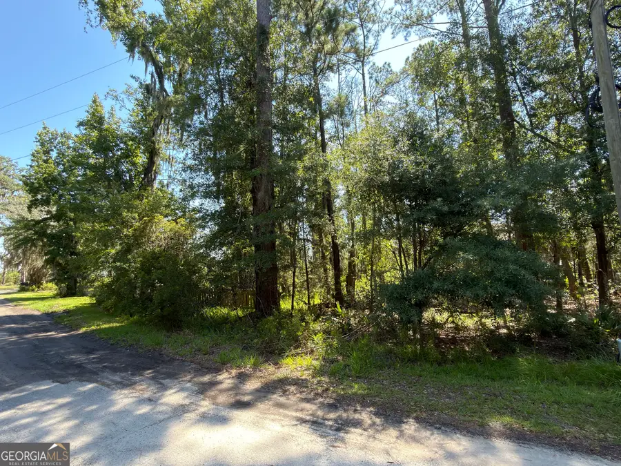 0 Mallard Pond Road, Midway, GA 31320 - #3