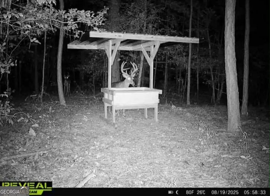 0 Everett Wood Road, Ideal, GA 31041 - #2