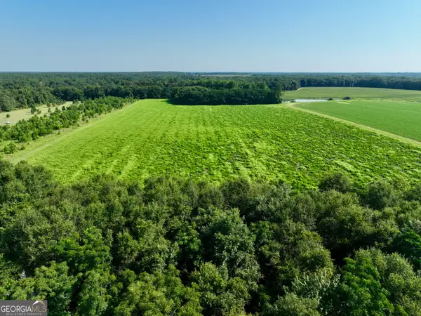 0 Vienna Highway, Hawkinsville, GA 31036