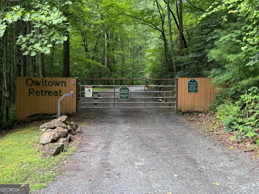 0 Owltown Road, Ellijay, GA 30536 - #2