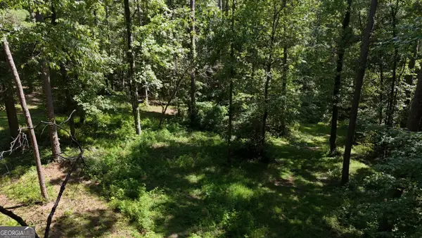 115-LOT 101/ PA Shoal Creek Dr, Sharpsburg, GA 30277