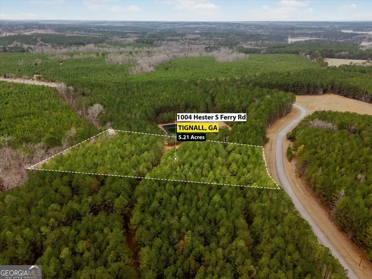 1004 Hesters Ferry Road, Tignall, GA 30668 - #1