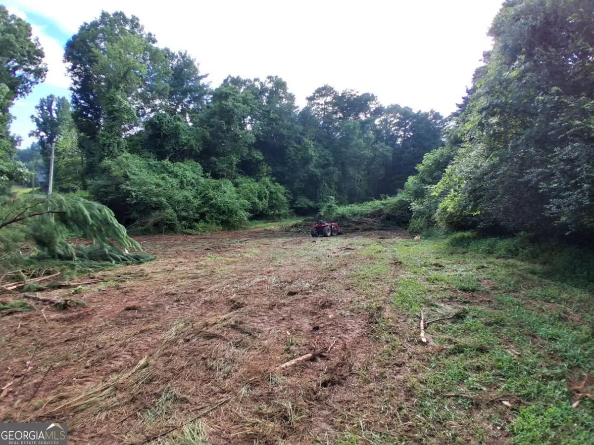 0 Blackberry Mountain Road, Ellijay, GA 30536 - #1