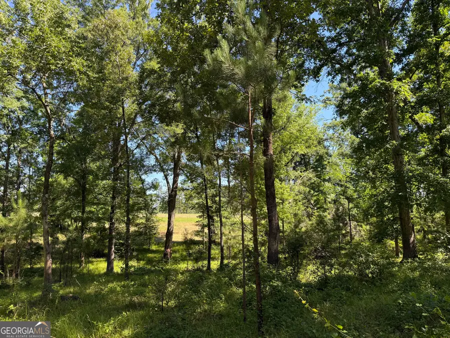 4979 Augusta Highway, Lincolnton, GA 30817 - #3