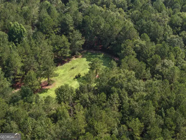 0 Sassertown Road, Rocky Ford, GA 30455