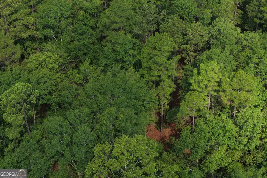 0 Sassertown Road, Rocky Ford, GA 30455 - #2