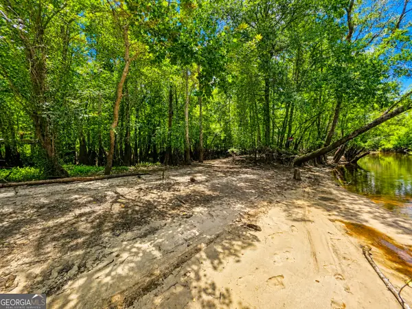 0 Lewis Landing, Nahunta, GA 31553