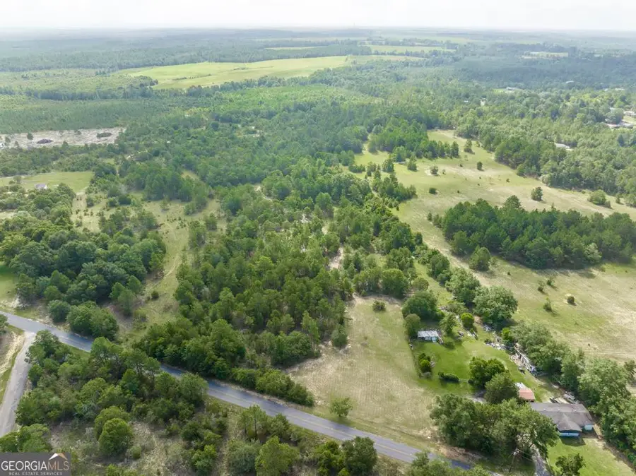 0 Georgia Rd, Butler, GA 31006 - #2