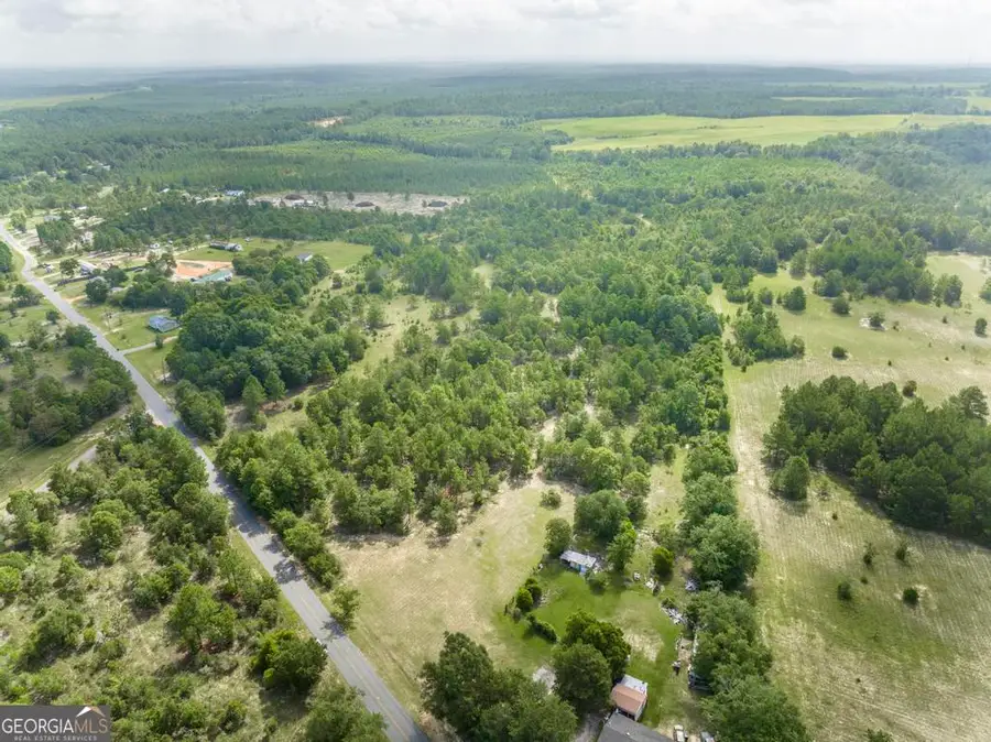0 Georgia Rd, Butler, GA 31006 - #3