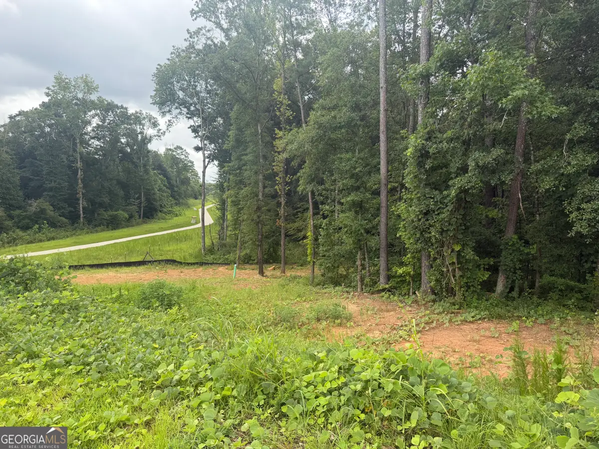 1680 Kilcrease Road, Bethlehem, GA 30620 - #1