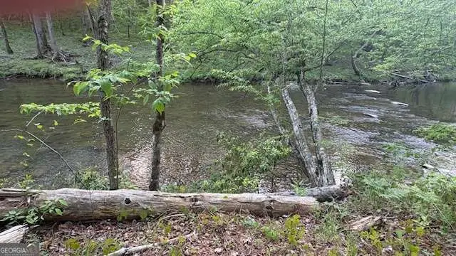 01 Hwy 136 West, Talking Rock, GA 30175 - #2
