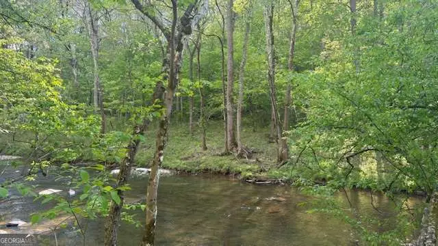 01 Hwy 136 West, Talking Rock, GA 30175 - #3