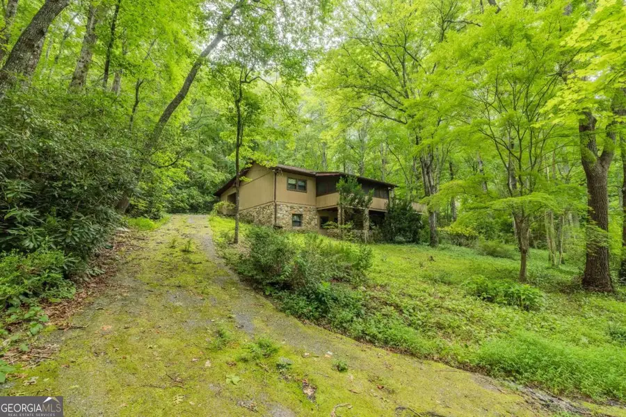 65 Eagle Chase Circle, Dillard, GA 30537 - #3