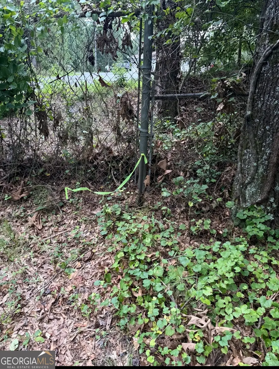 3343 Powder Springs Road, Powder Springs, GA 30127 - #2