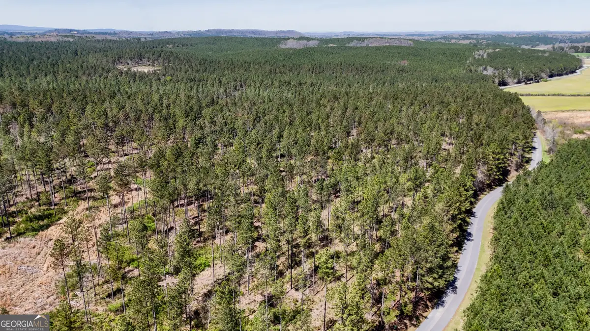 20 ACRES Youngs Farm Road, Cedartown, GA 30125 - #1