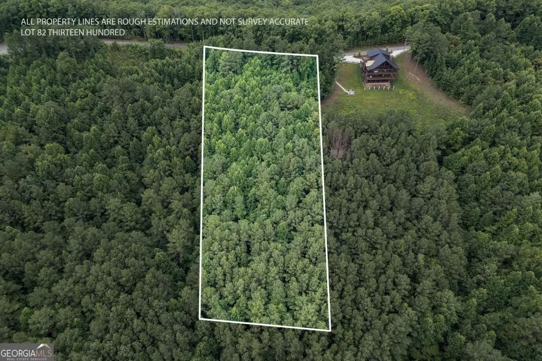 LOT 82 Thirteen Hundred, Blairsville, GA 30512 - #1