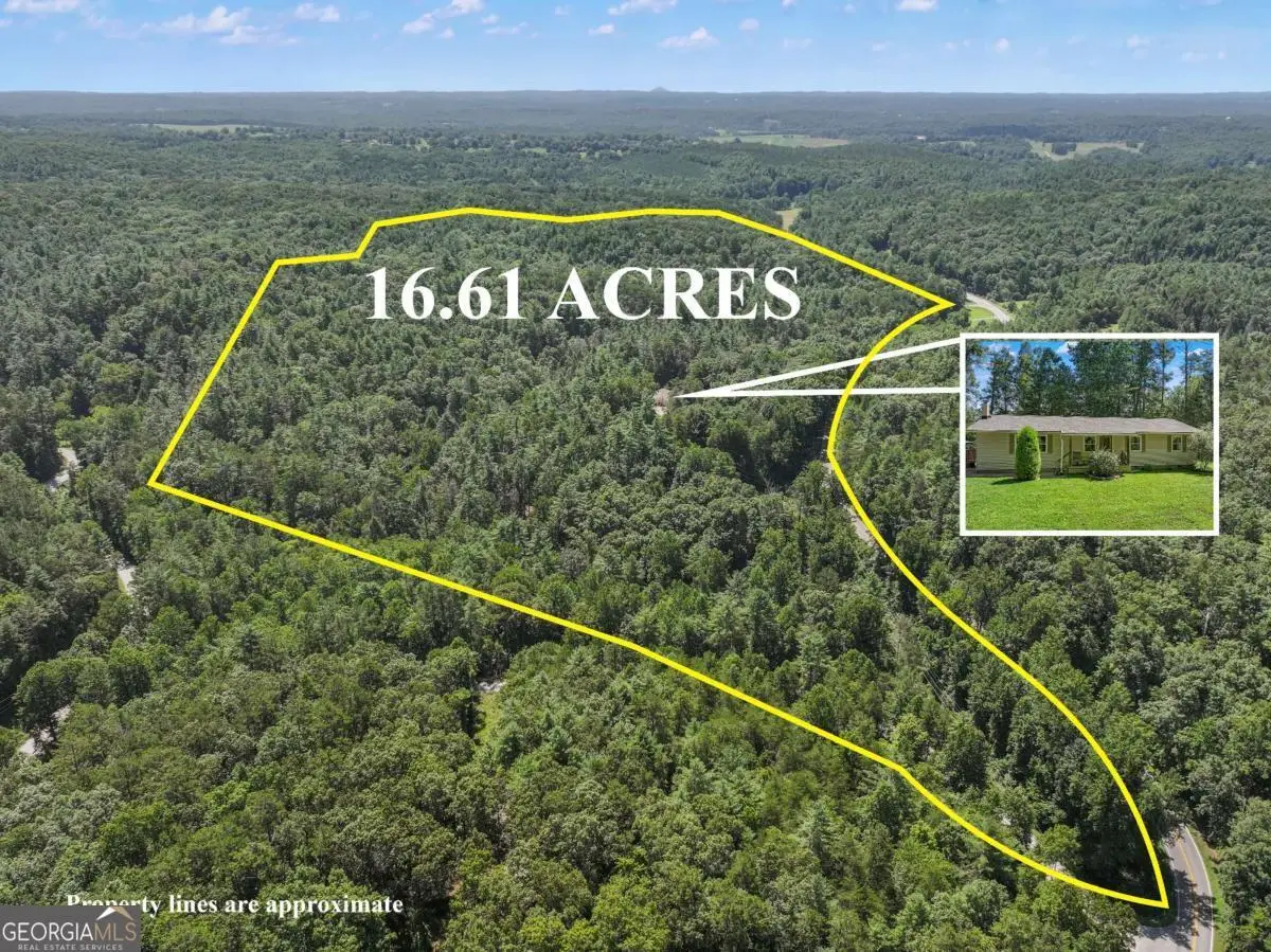 5082 Highway 197 N, Clarkesville, GA 30523 - #1