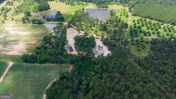 0 Pittman Road, Cobbtown, GA 30420
