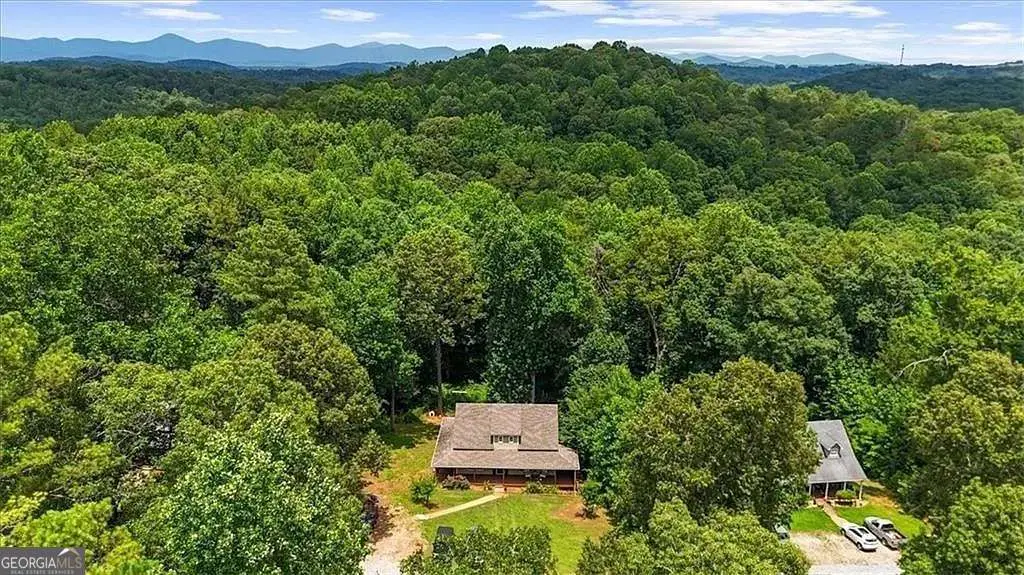 43 Bulldog Way, Dahlonega, GA 30533 - #1