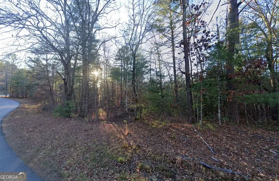 1077 Highland Trail, Blairsville, GA 30512 - #2