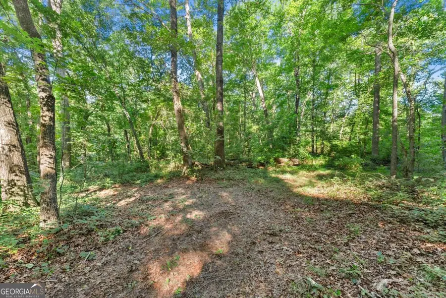 0 Prospect Road, Carnesville, GA 30521 - #2