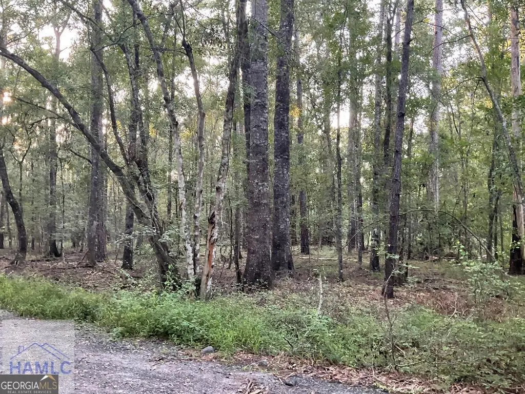 0 Cherry Lane, Hinesville, GA 31313 - #1