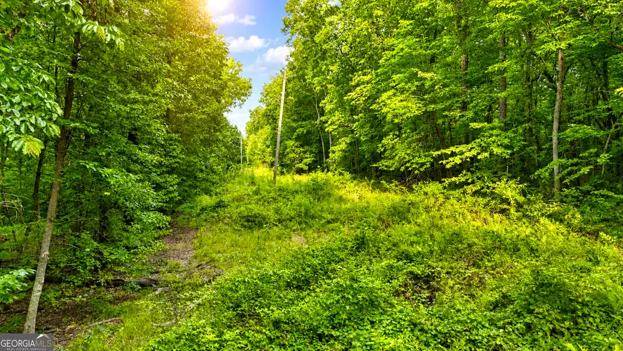 0 Highway 2, Cohutta, GA 30710 - #2