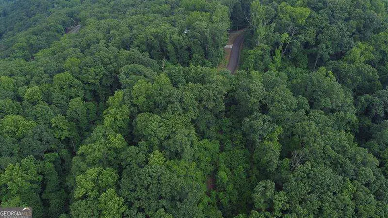 288 Andes Ridge Parkway, South Gilmer, GA 30175 - #2