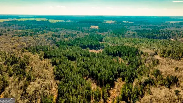 0 Crooked Road #TRACT 2, Millen, GA 30442