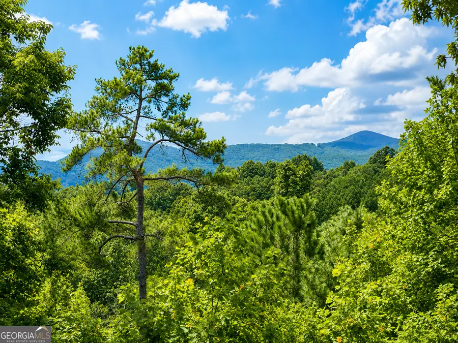 1046 Crossroads Church Road, Ellijay, GA 30540 - #2