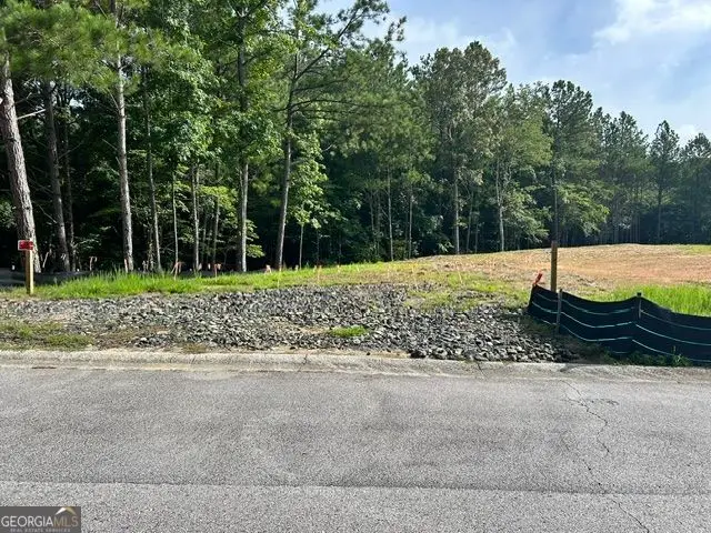 389 Timothy Drive, Dallas, GA 30132 - #2