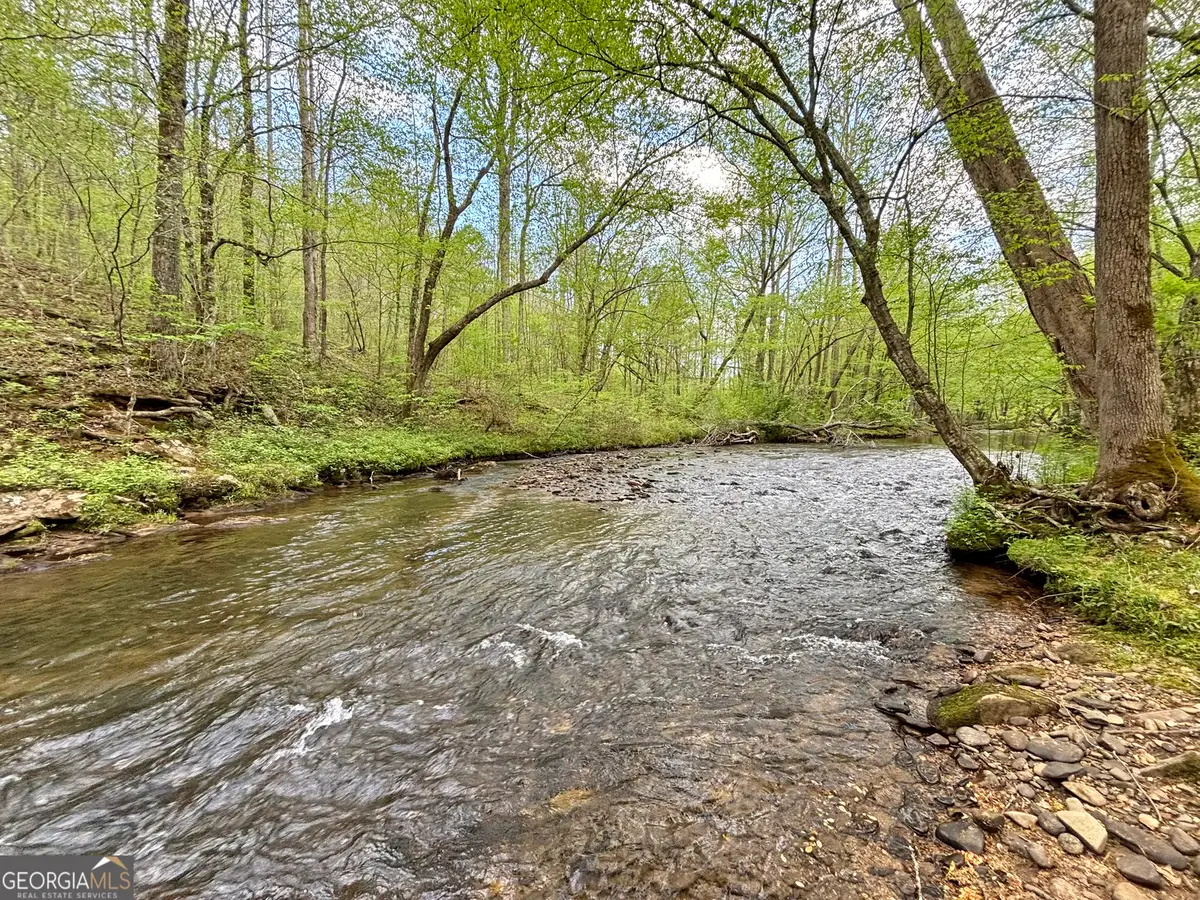 LT 5 Spiva Cove Road, Blairsville, GA 30512 - #1