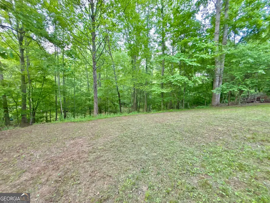 LT 5 Spiva Cove Road, Blairsville, GA 30512 - #3