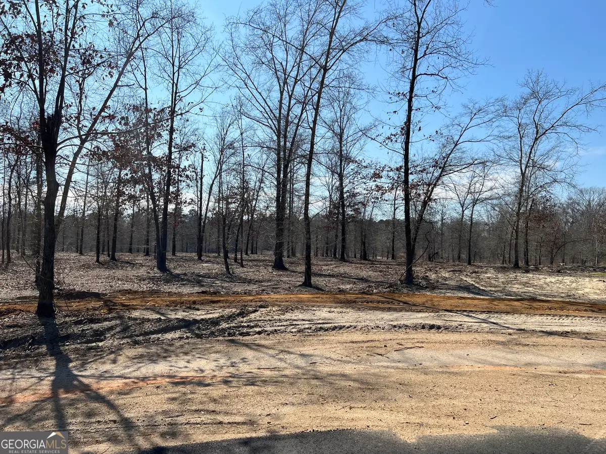 0 Holly Ridge Lot 6, Dublin, GA 31021 - #1