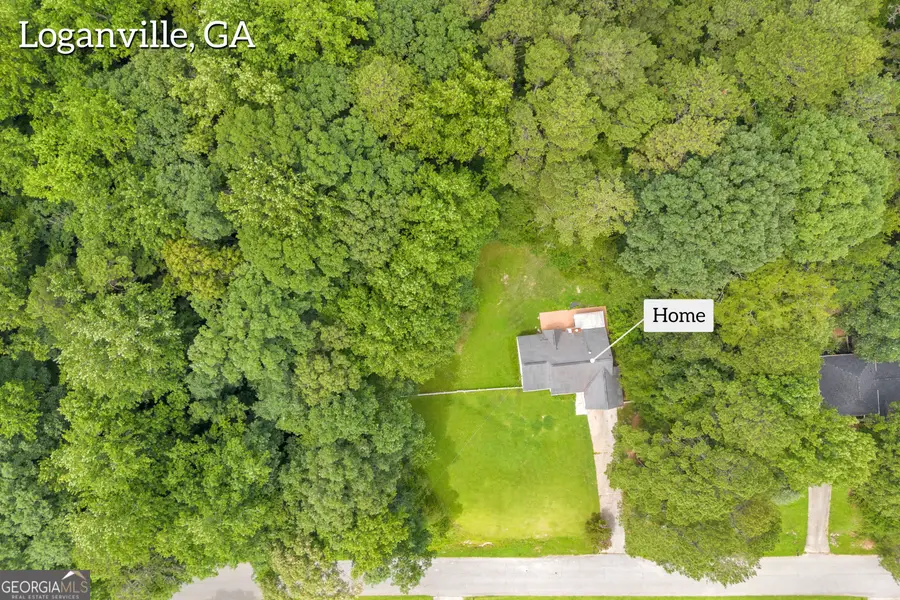 3630 Creekwood Trail, Loganville, GA 30052 - #3