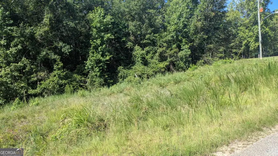 111 Chipper Lane, Sparta, GA 31087 - #2