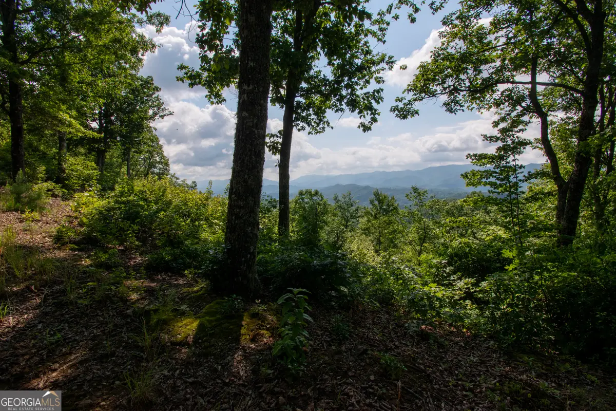 850 Bluff Road, Marble, NC 28905 - #1