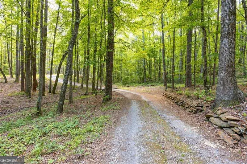 301 Benson Road, Dallas, GA 30132 - #3