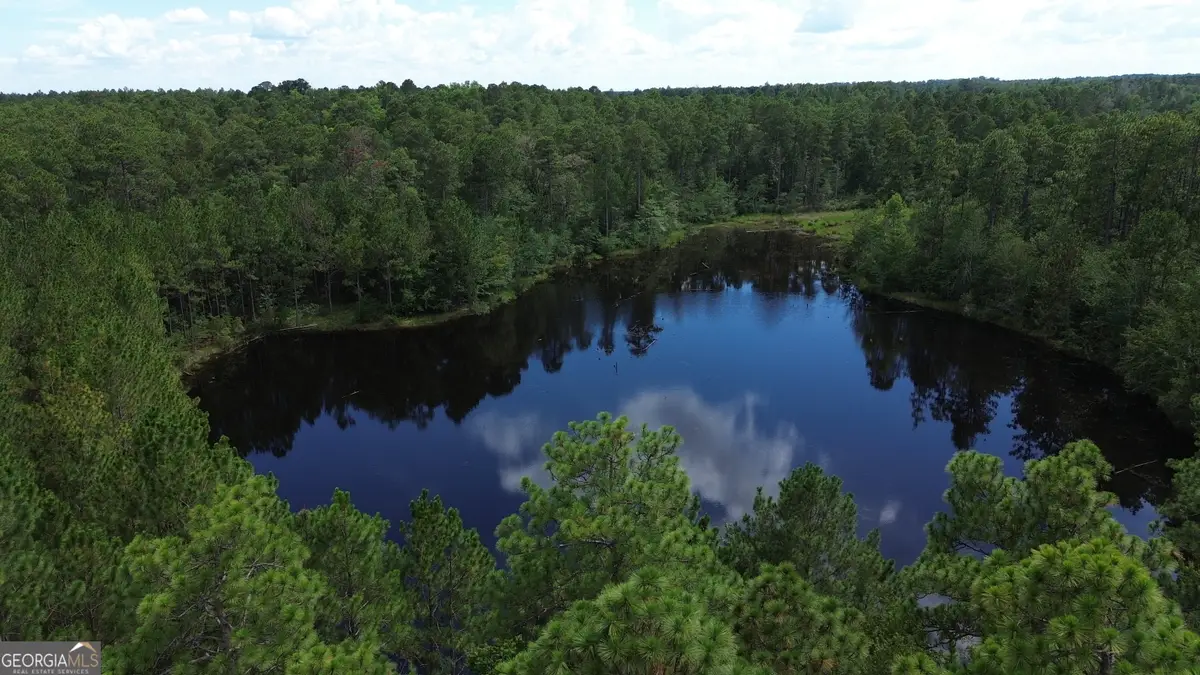 1 Hwy 25, Portal, GA 30450 - #1